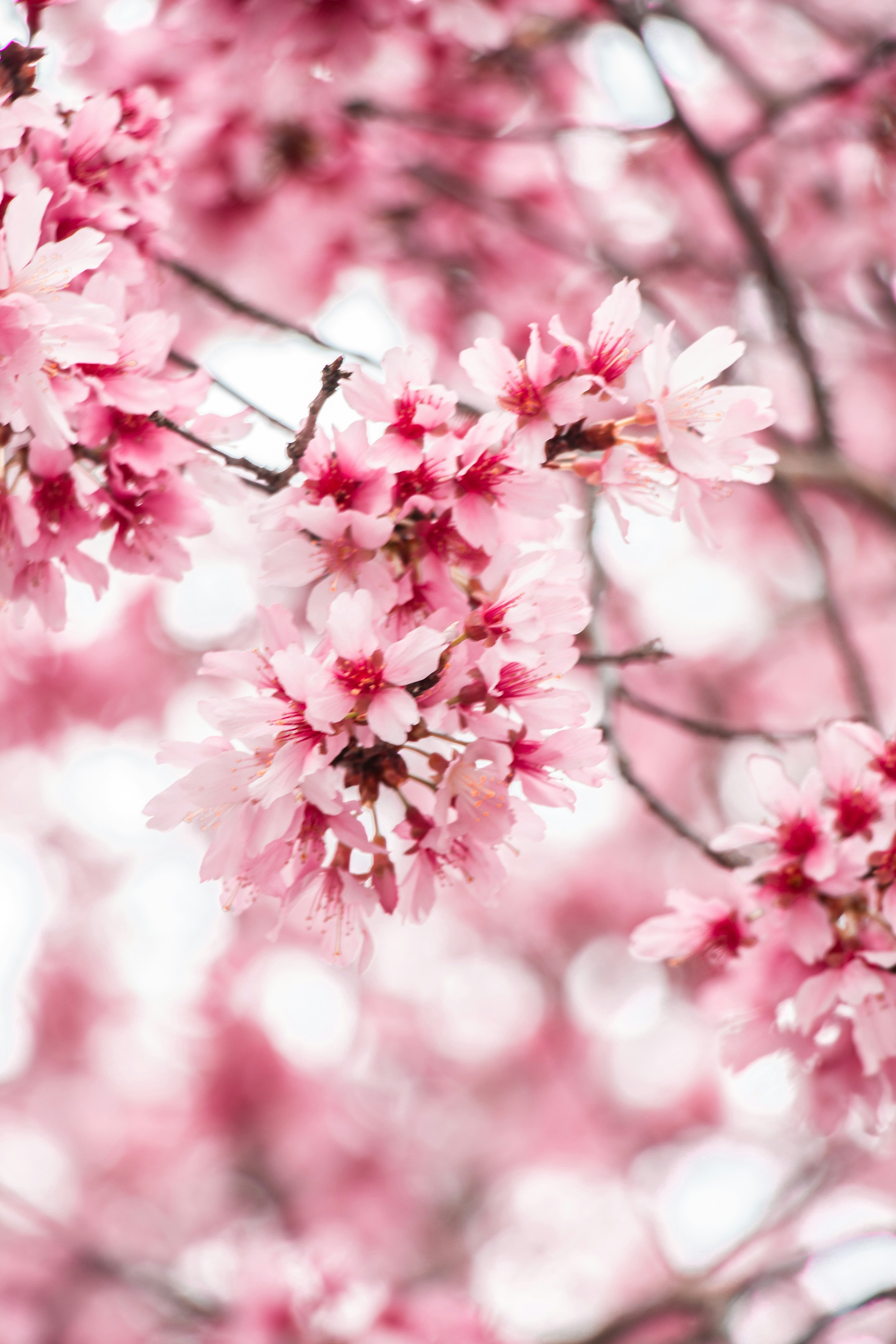 Photo by karinaszczurek