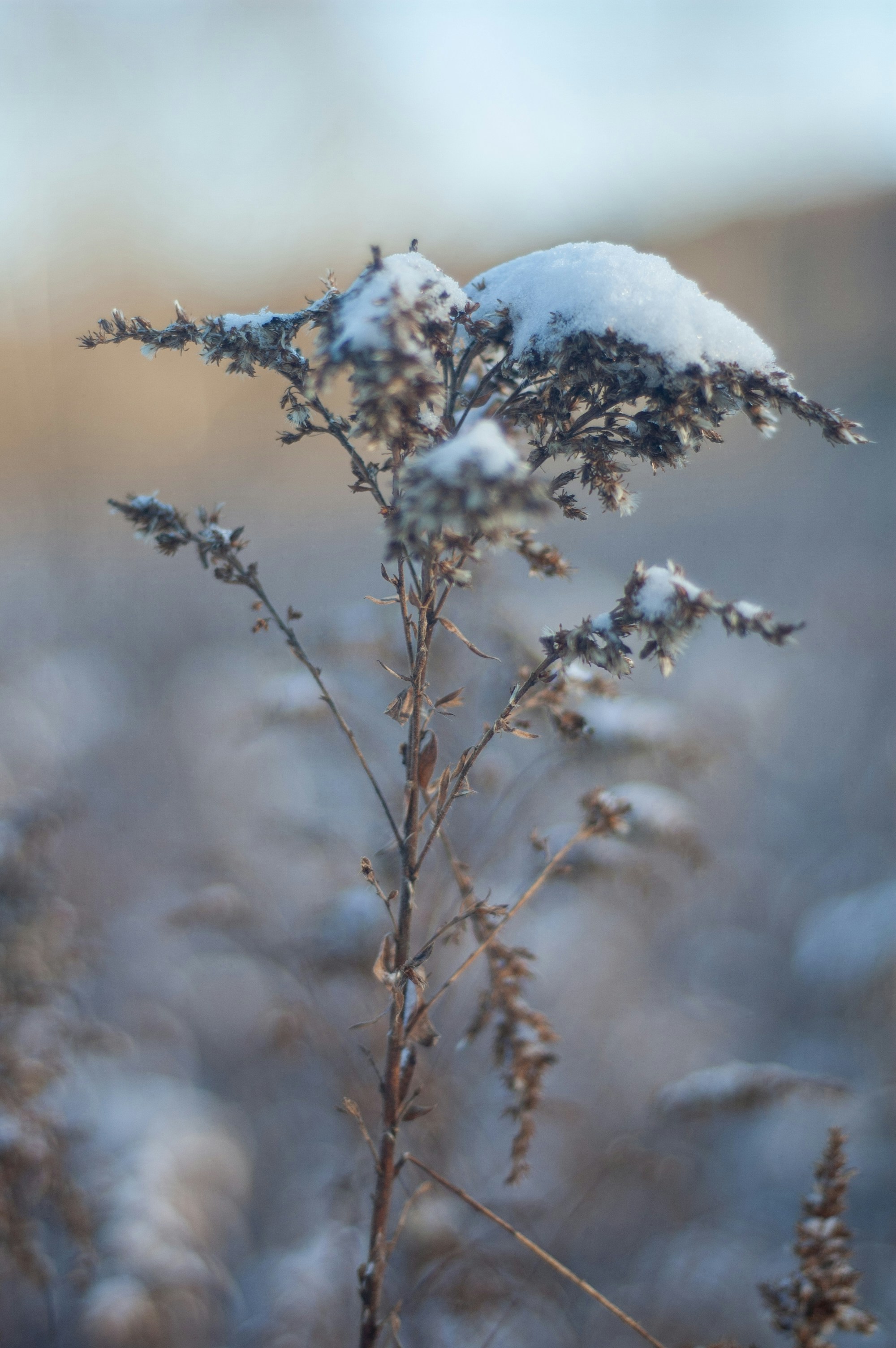 Photo by johnmathews