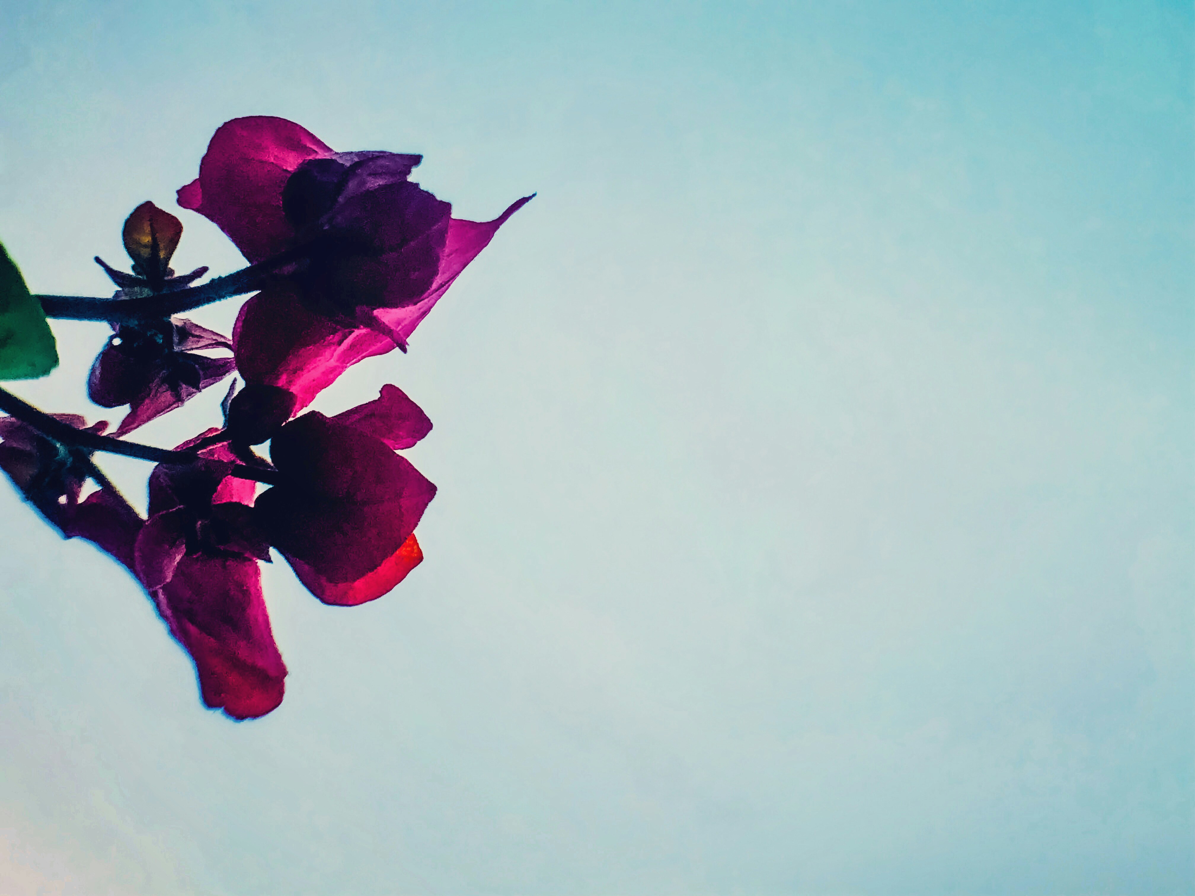 Photo by ashish_2931