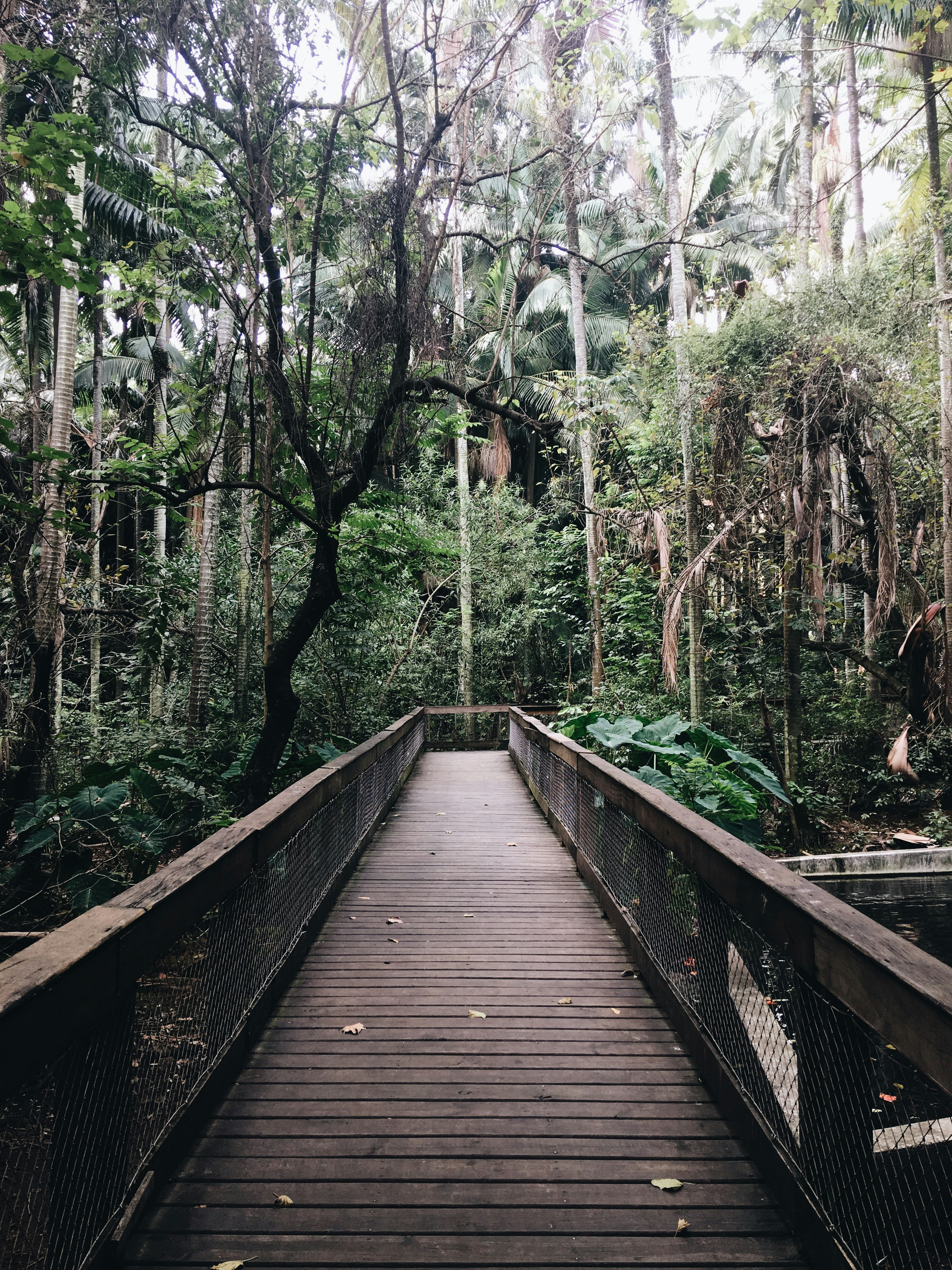 Photo by luanamacchione