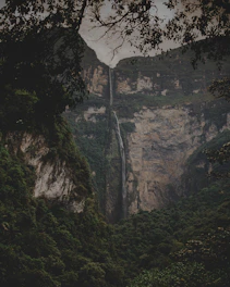 waterfall in forest