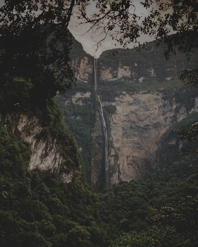 waterfall in forest