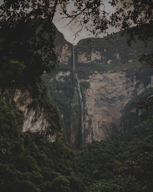 waterfall in forest