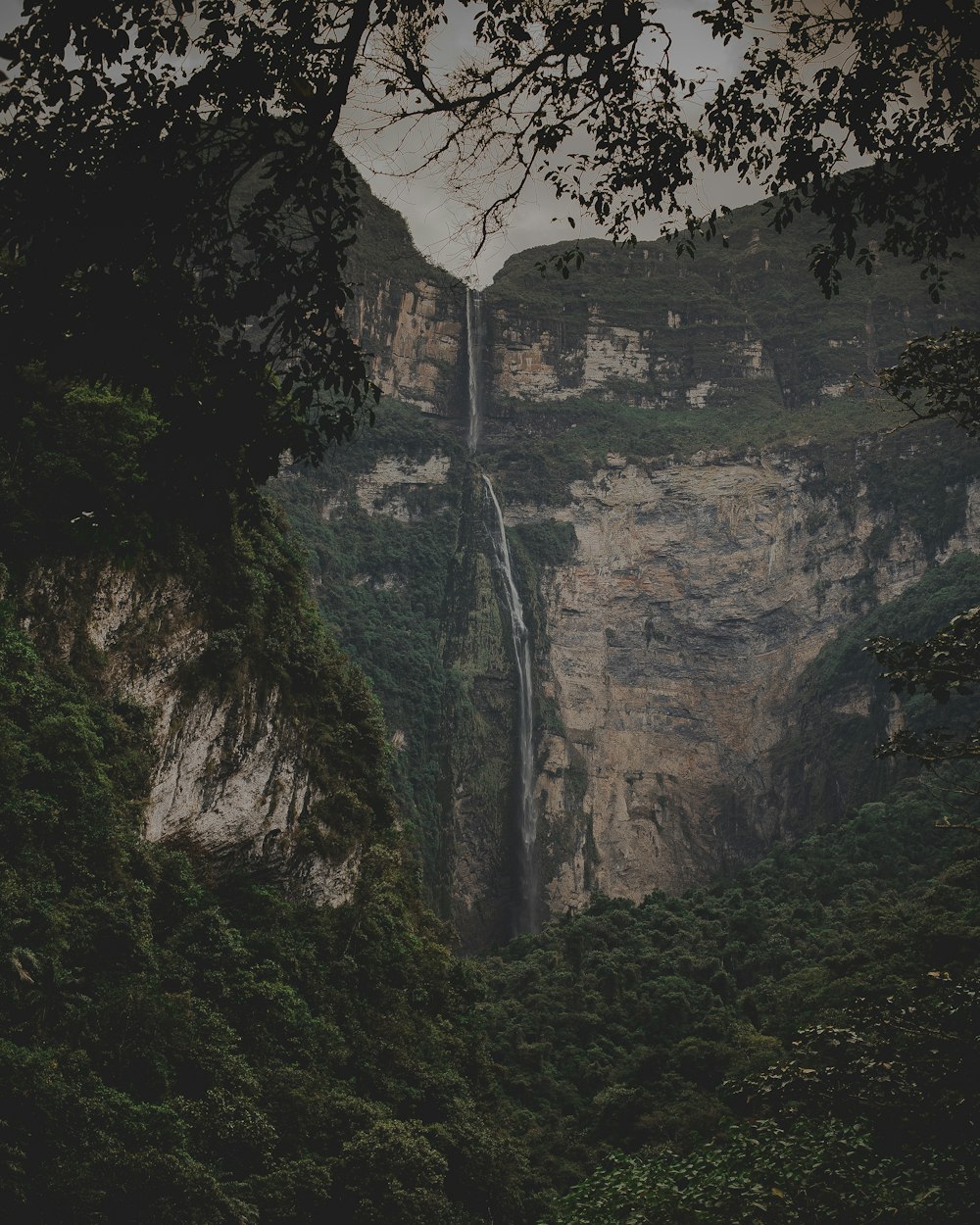 waterfall in forest