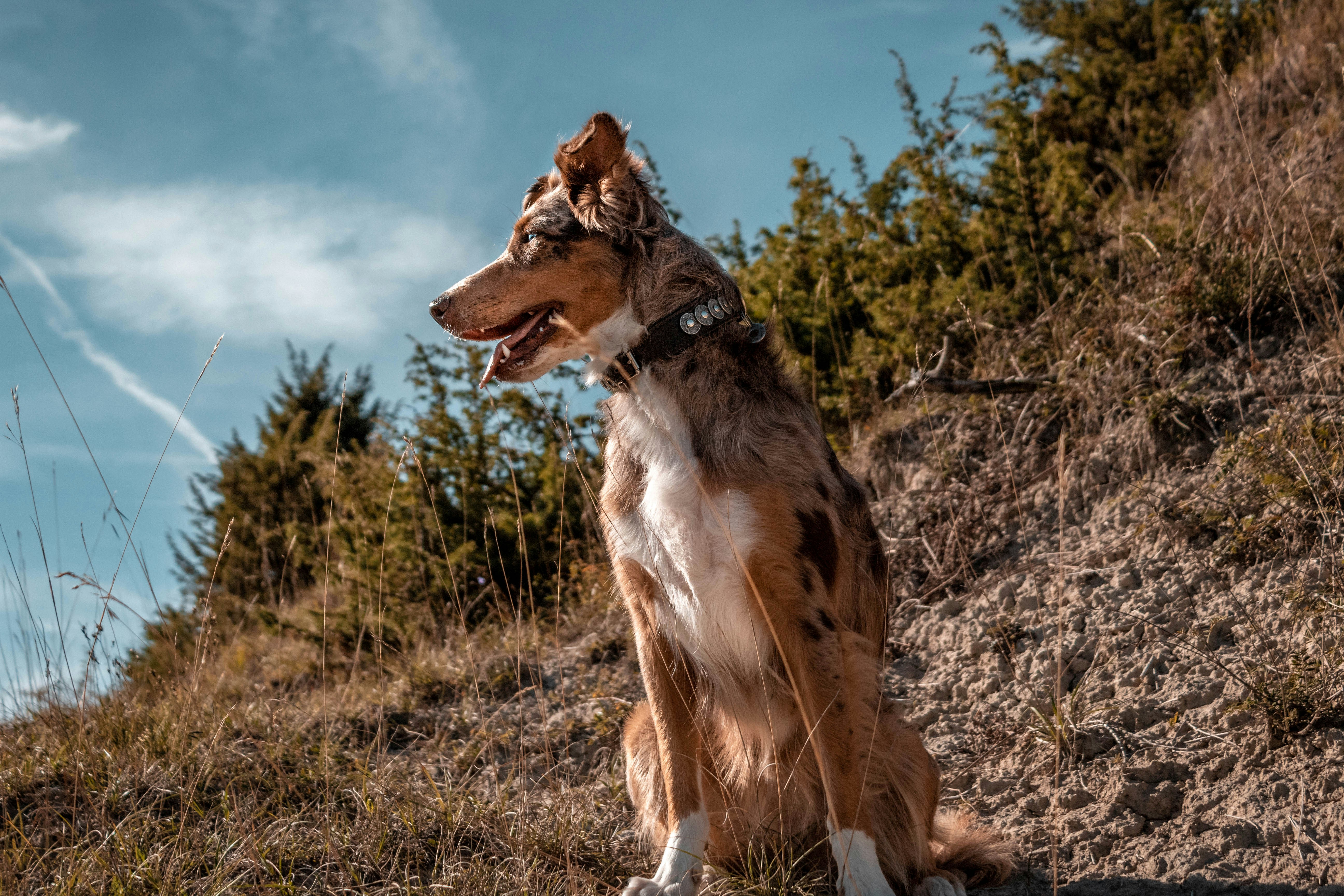 Photo by stereophototyp