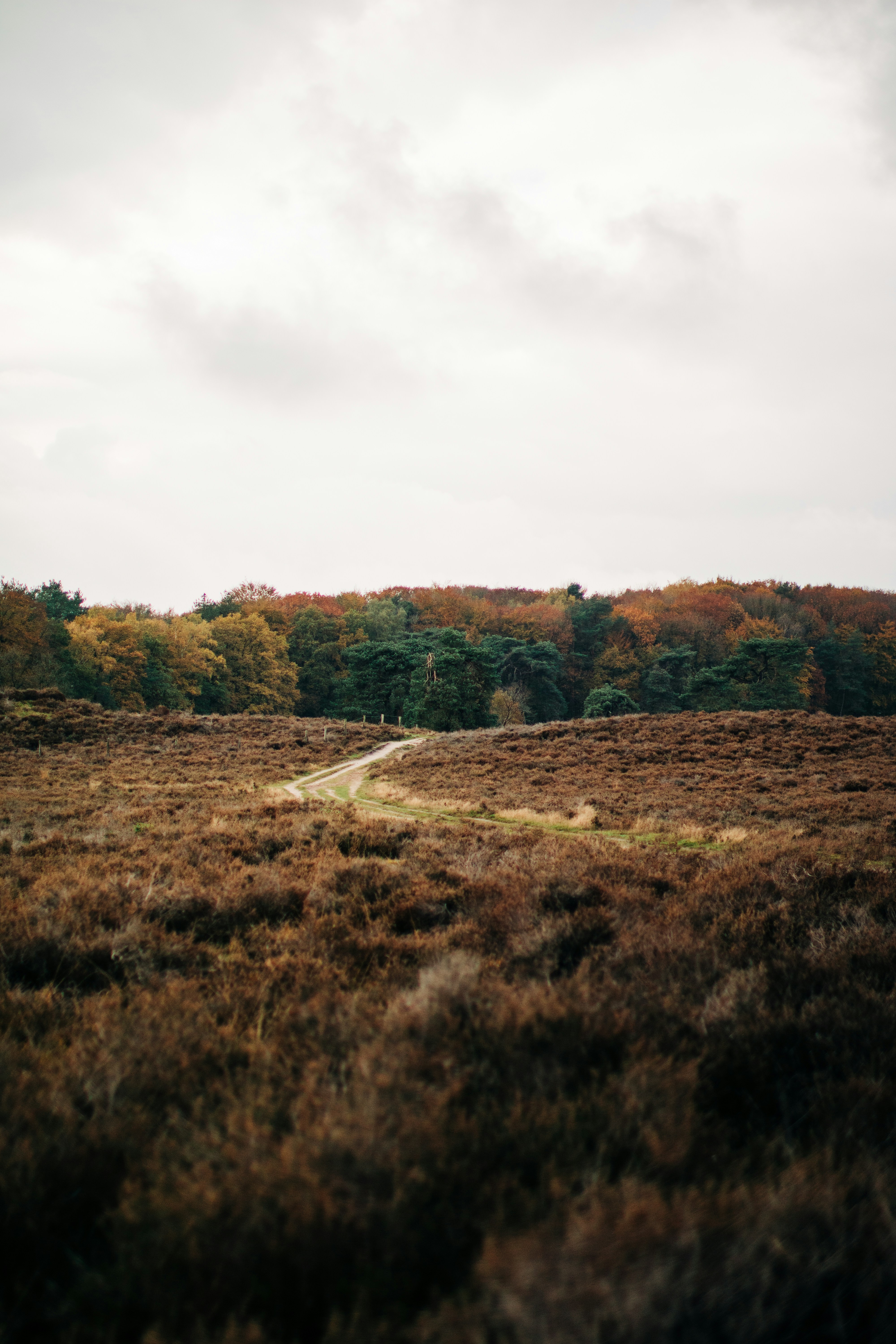 Photo by frederiquesmit