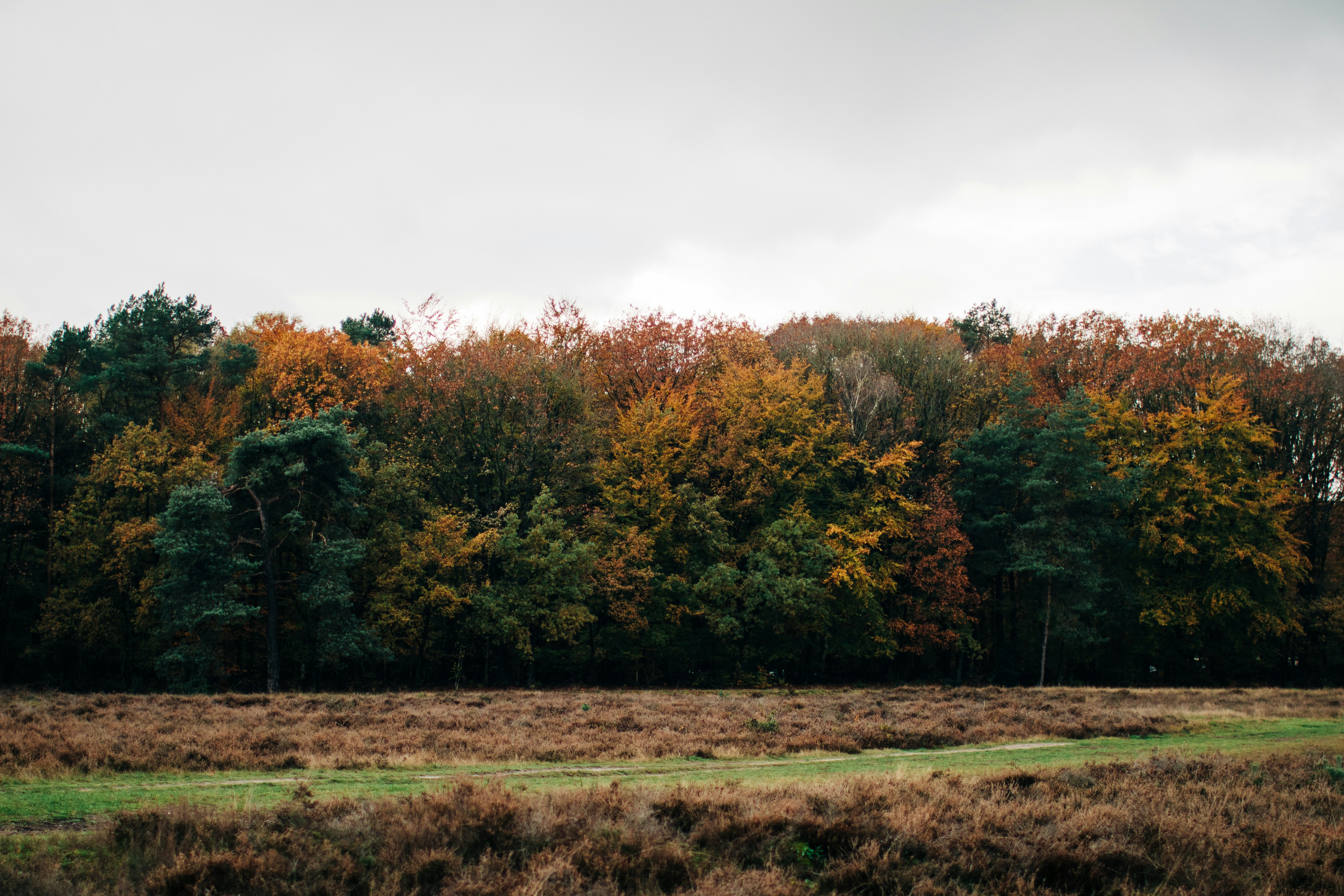 Photo by frederiquesmit