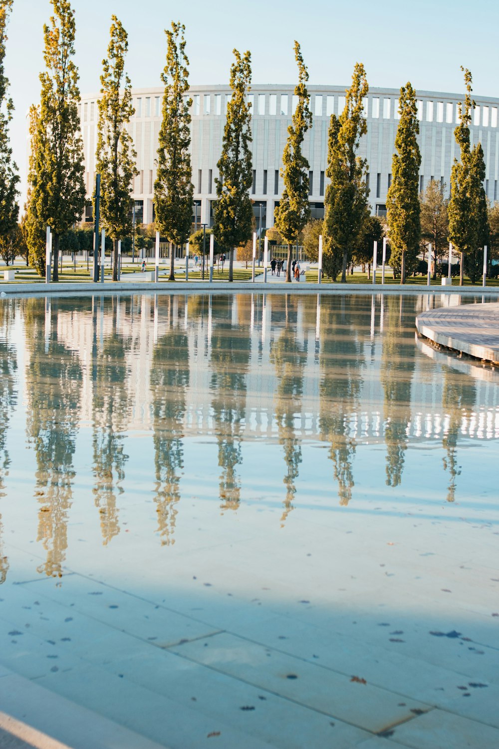 reflection of green trees on body of water]