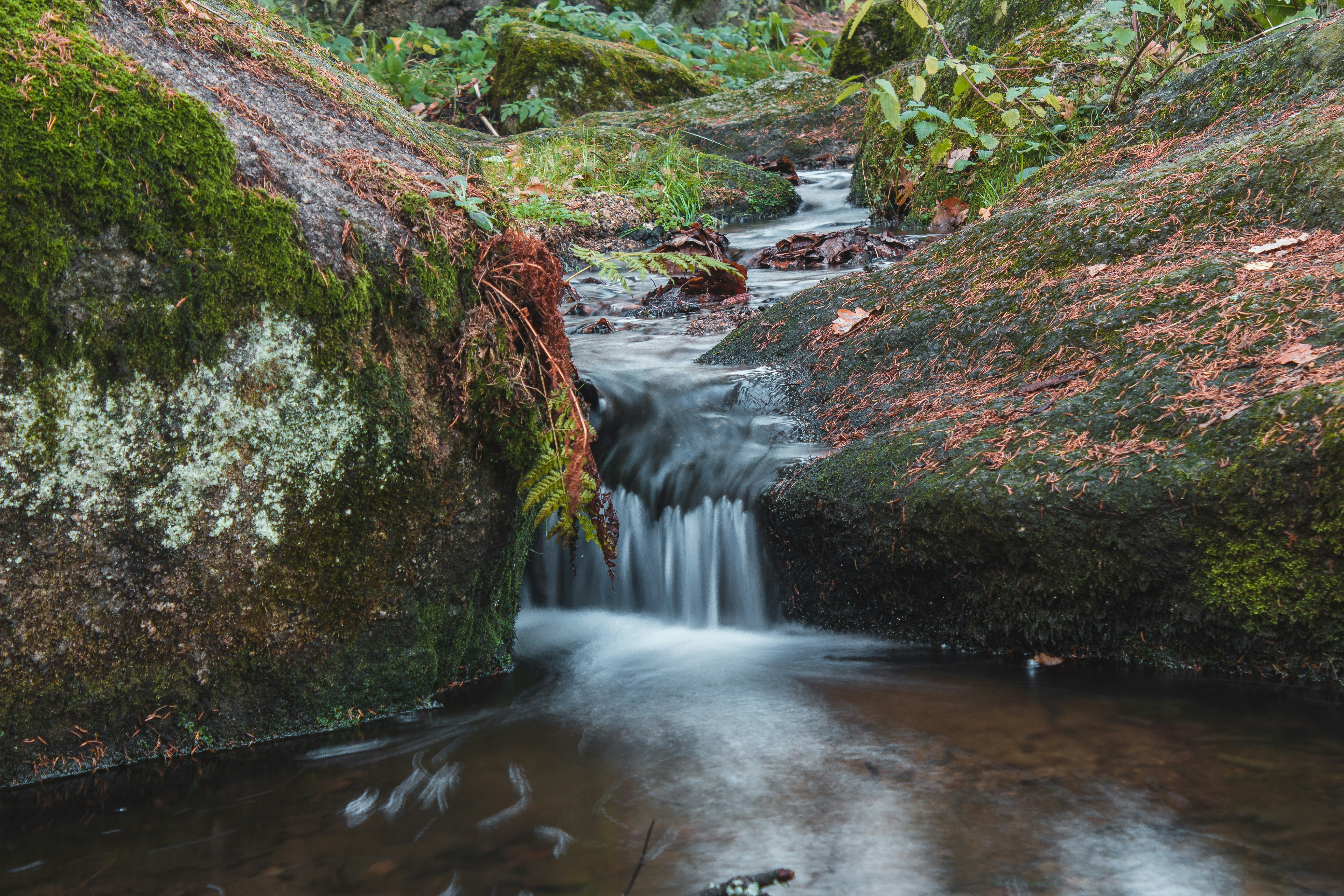 Liberec – Nightlife & Evening Culture