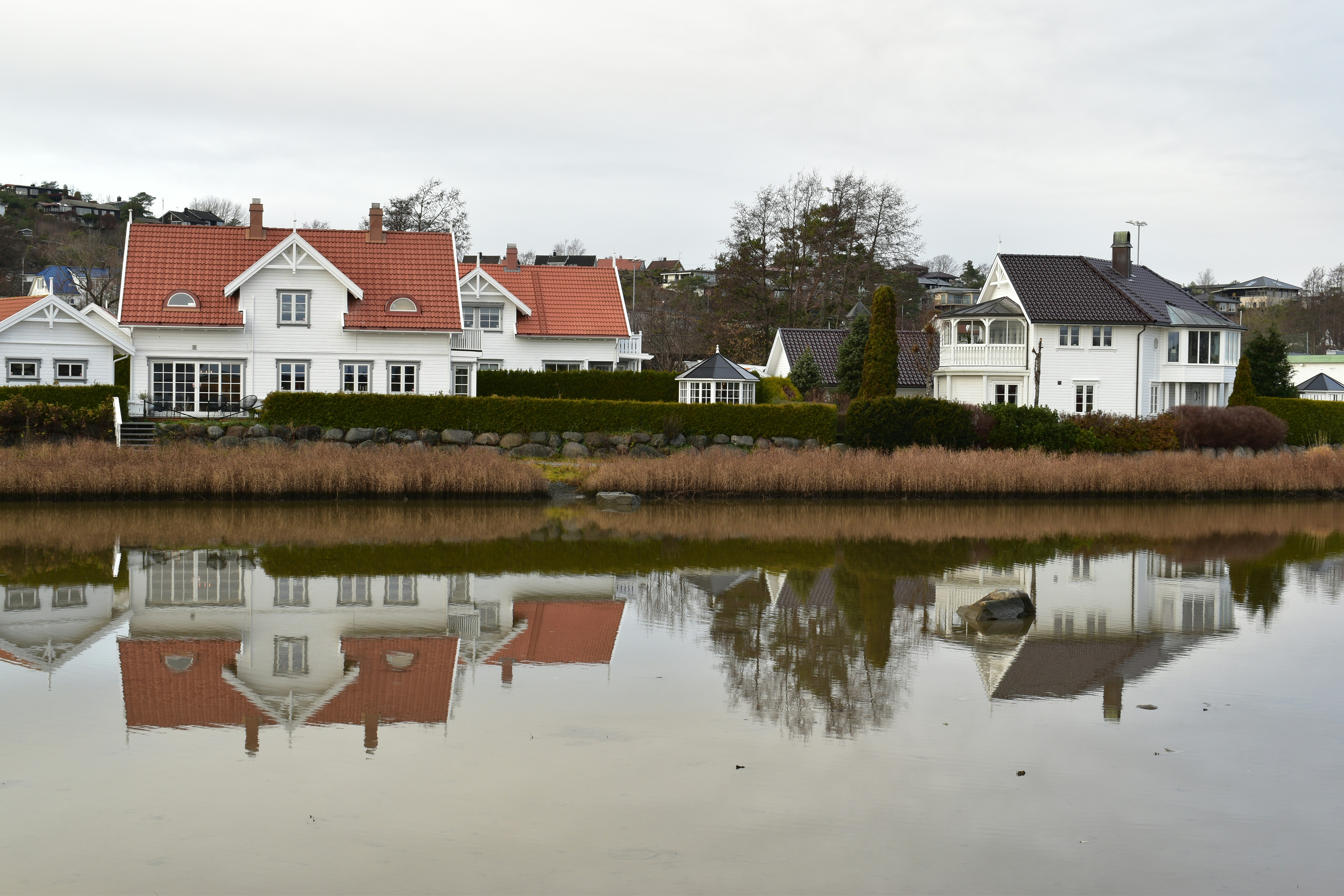 Photo by dariuszpi