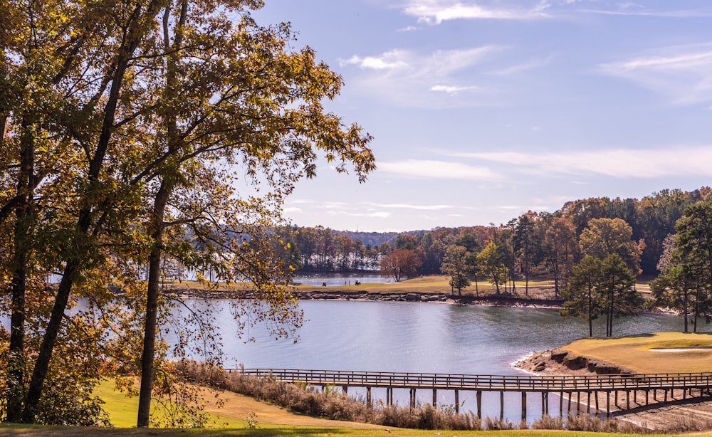 brown wooden bridge and lake scenery