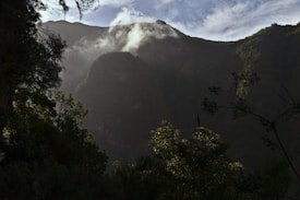 A lush, green mountain landscape with sunlight streaming through misty clouds above. Dense foliage in the foreground leads to steep cliffs, with patches of sunlight creating a glowing effect on the leaves.