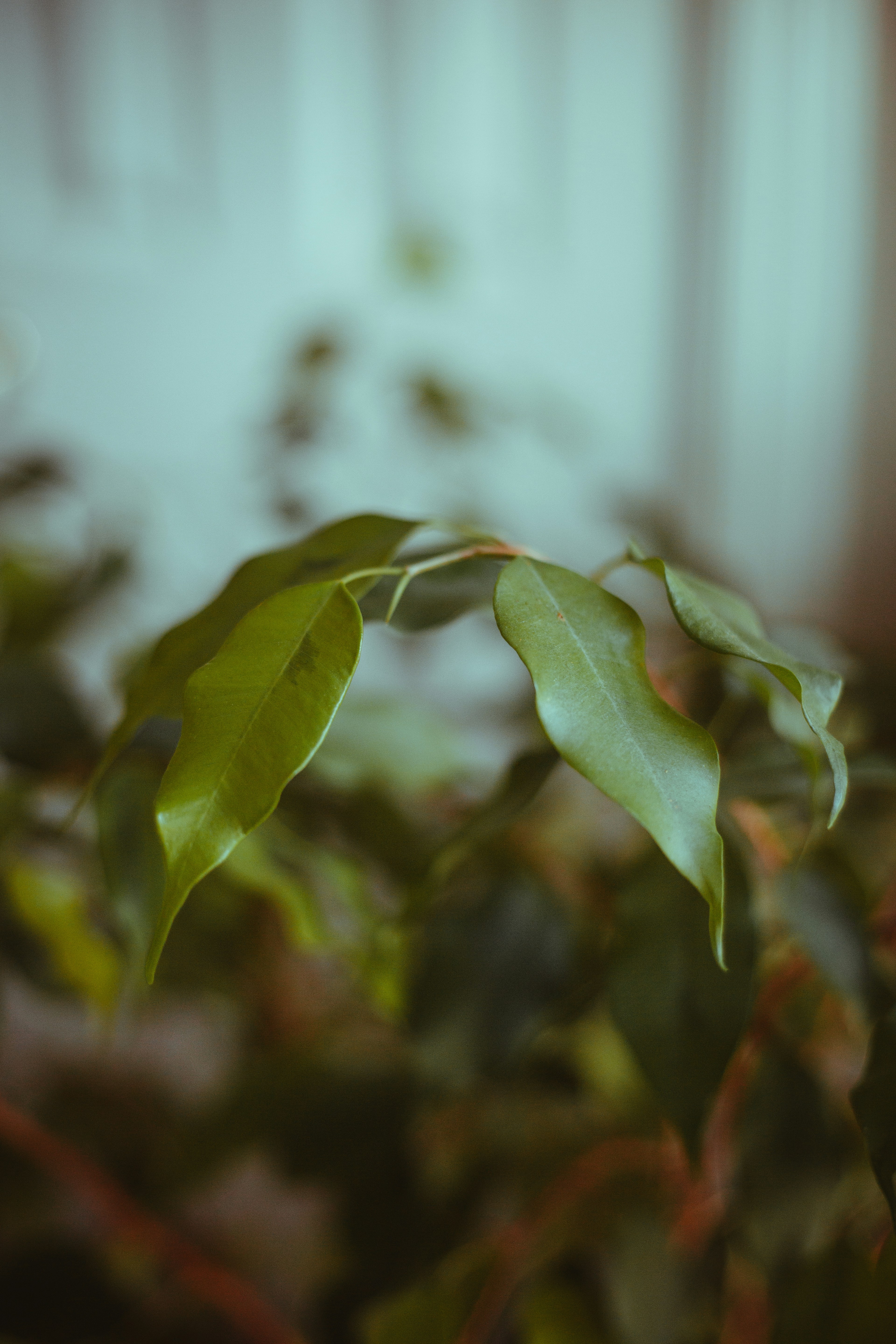 Photo by ethanlackner