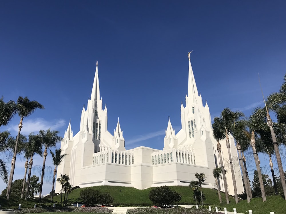 shallow focus photo of white building during daytime