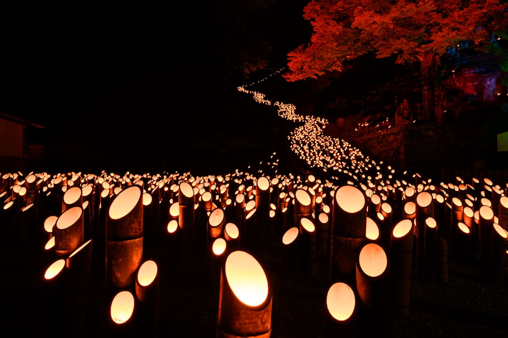 lighted bamboo lamps beside tree
