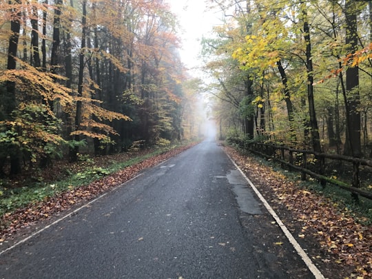 asphalt road scenery in Bad Homburg Germany