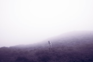 A tense survival game environment featuring rugged terrain and a lone character.