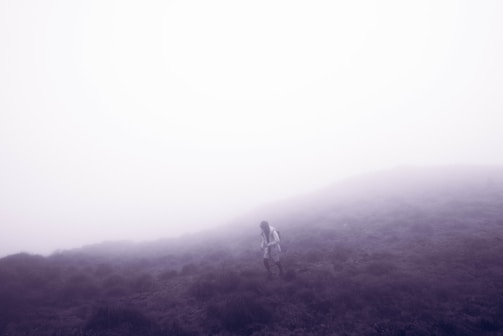 A tense survival game environment featuring rugged terrain and a lone character.