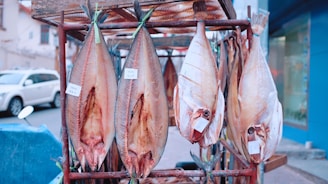 Several large fish are hung and displayed on a metal rack in an outdoor market setting. The fish are gutted and appear to be salted or dried, suggesting they might be a part of preserved seafood offerings. Some labels are attached to the fish. In the background, a white car and some buildings are visible, indicating an urban environment.