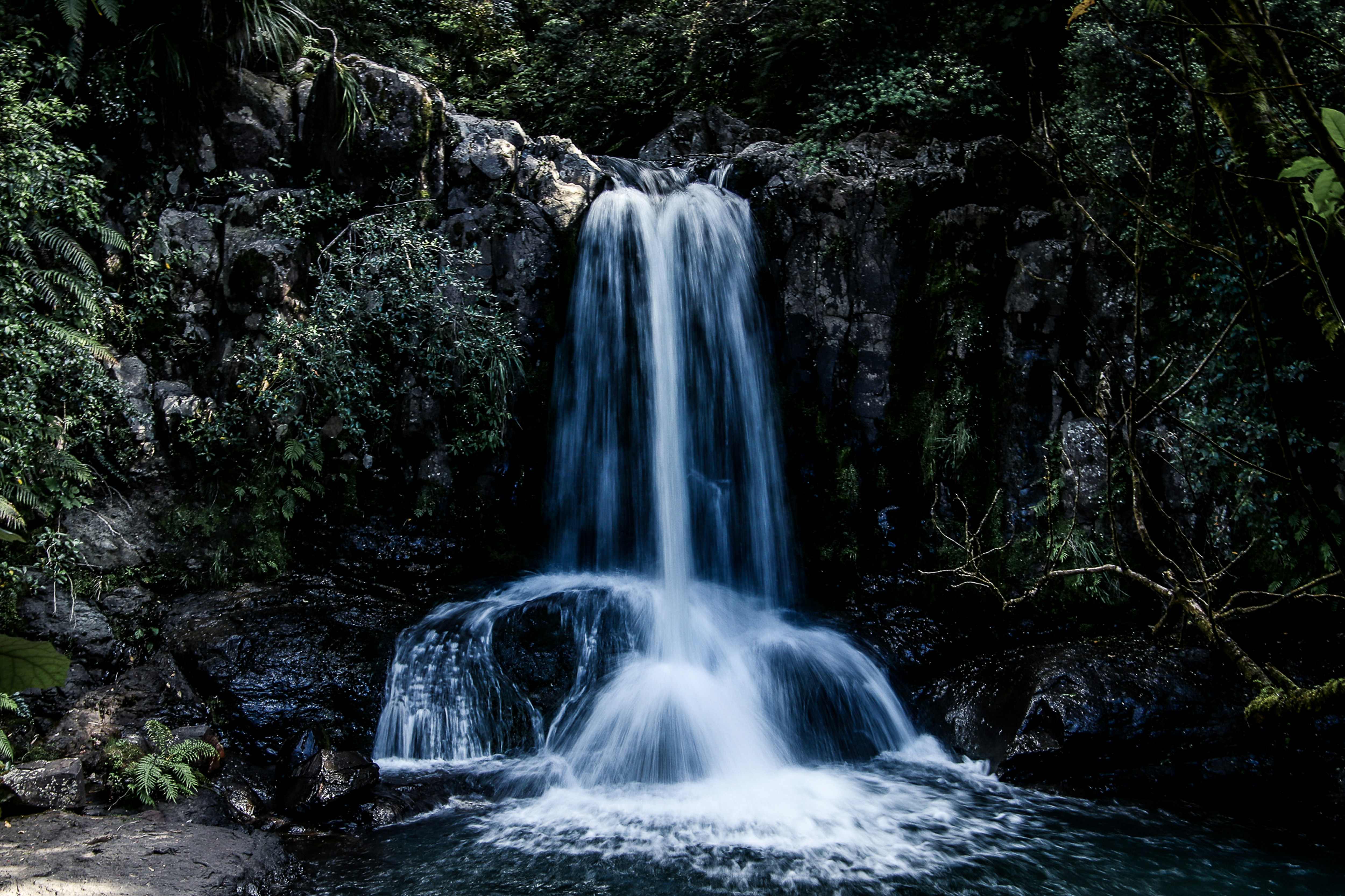 Photo by dc_snapshots