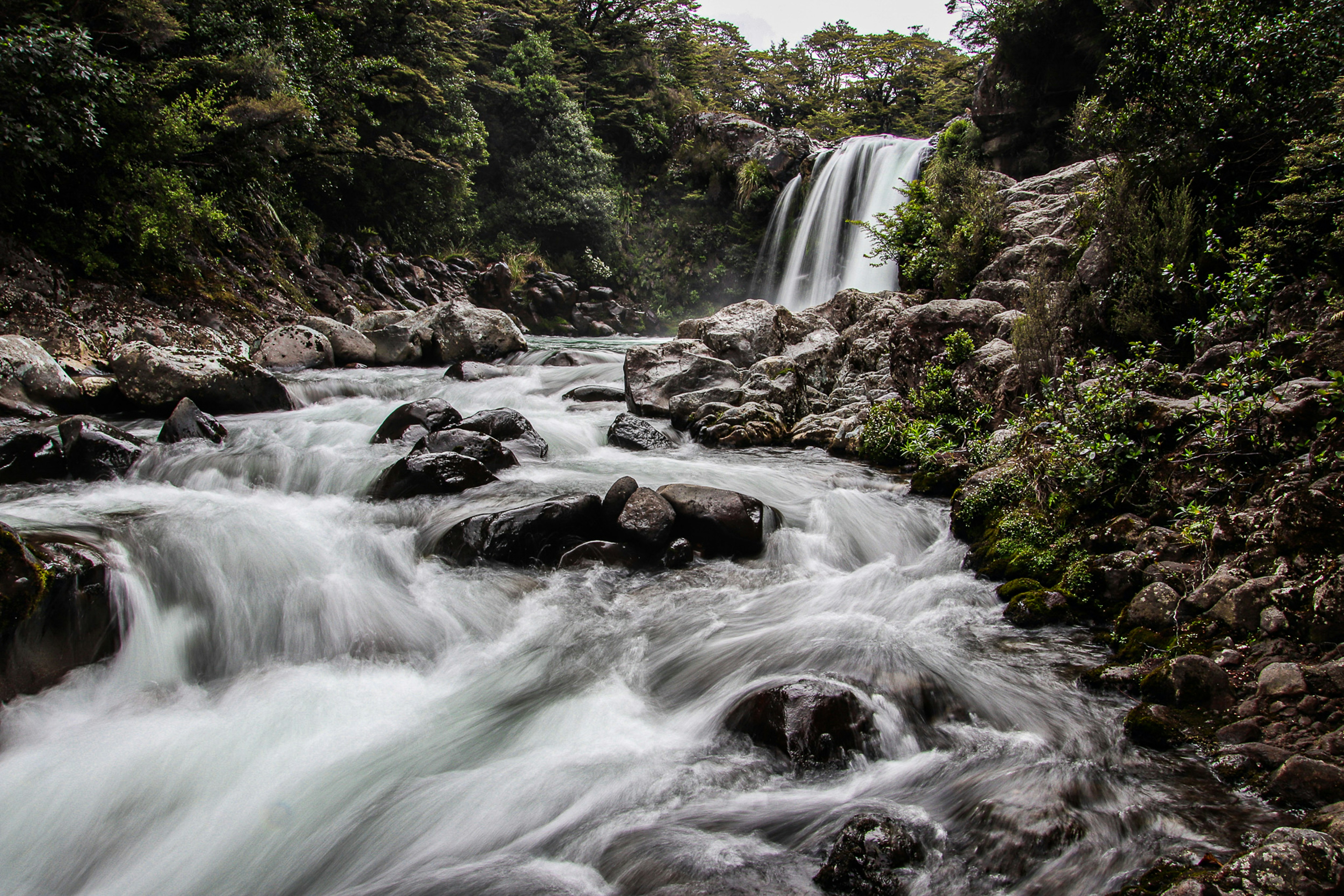 Photo by dc_snapshots