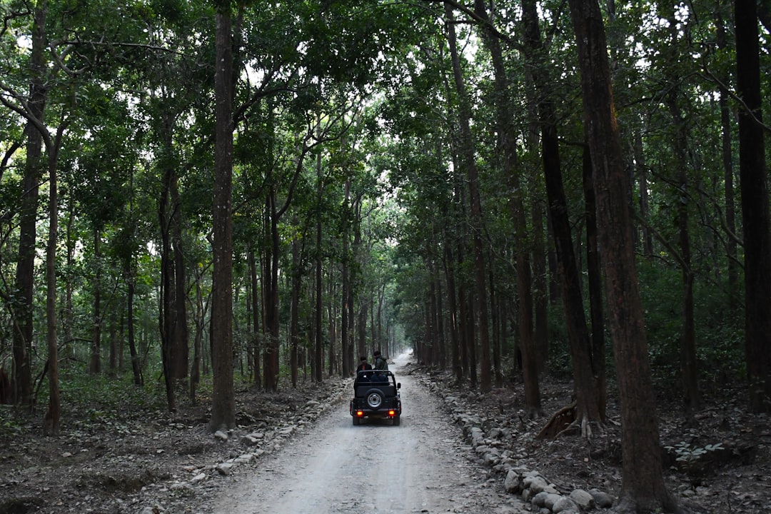 Forest photo spot Jim Corbett National Park Sitabani Wildlife Reserve