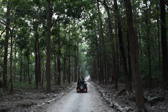 black SUV on road in Jim Corbett National Park India