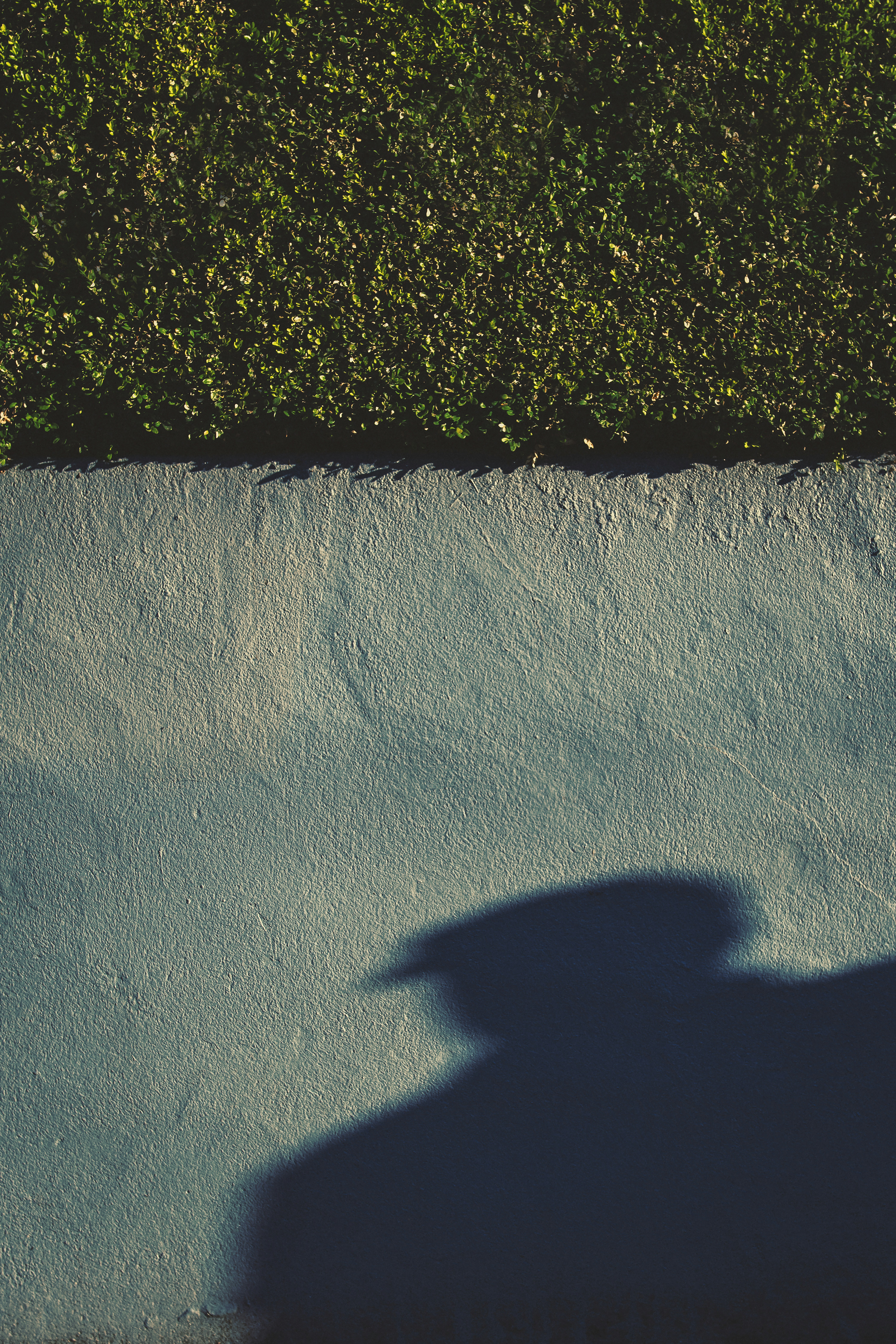 Photo by timmossholder