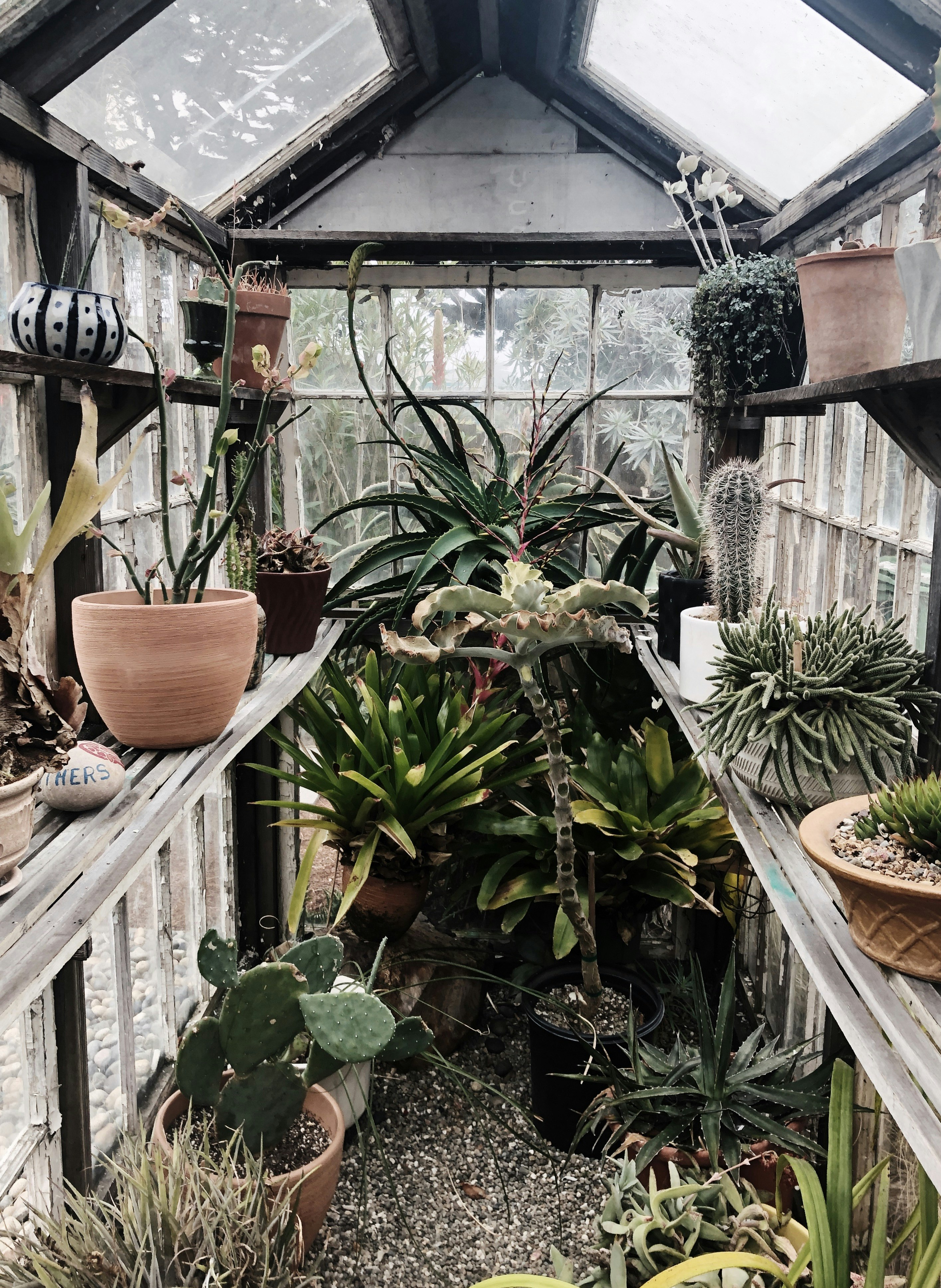 Greenhouse at The General Store in Outer Sunset district.