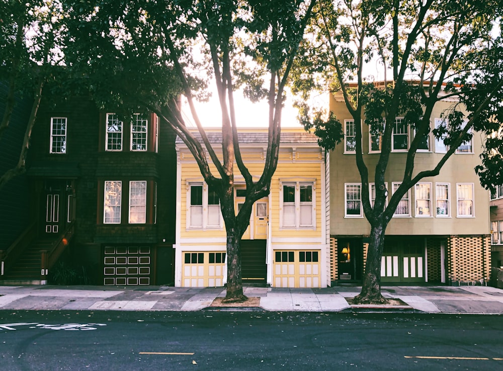 view photography of house near road and trees during daytime