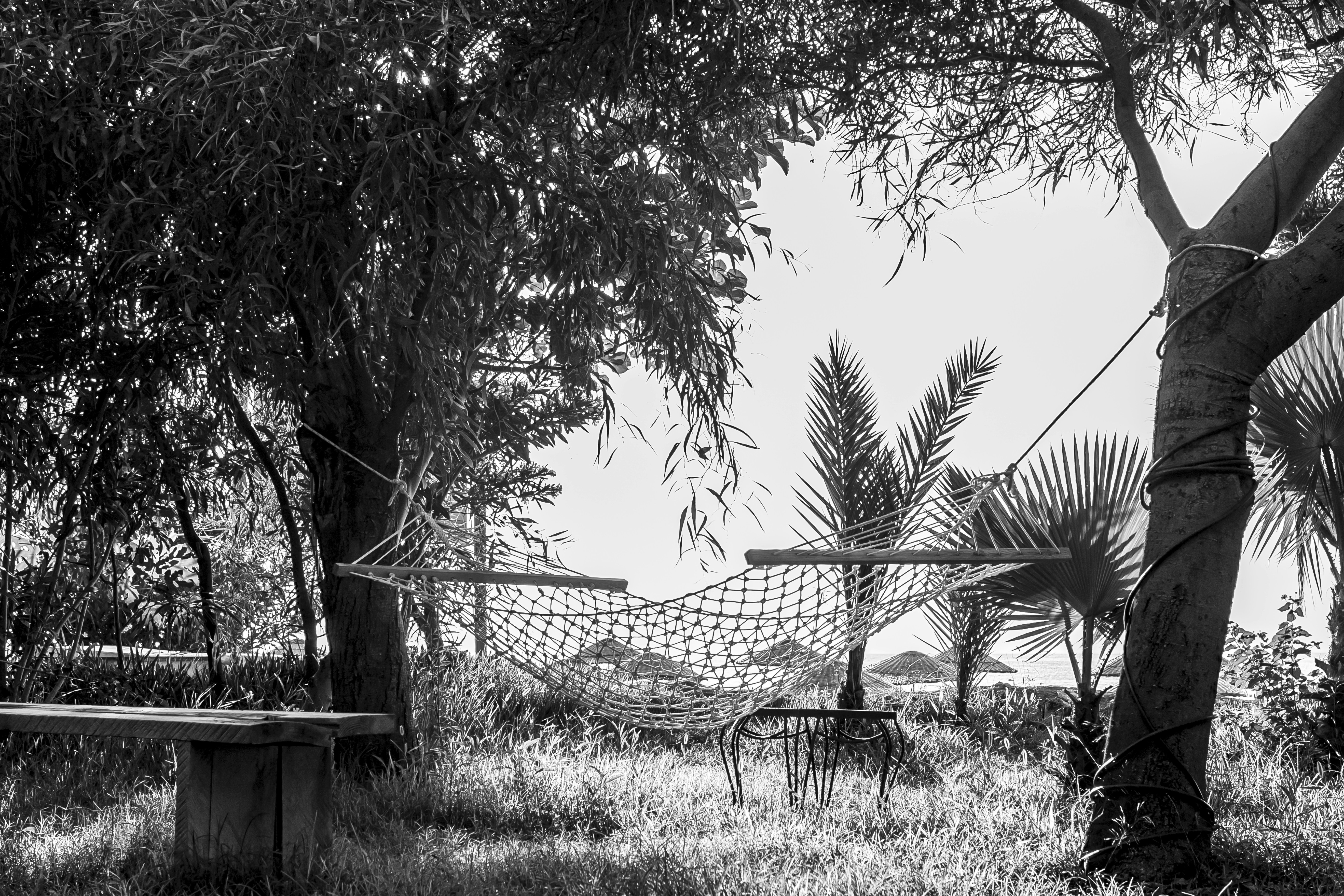 Photo by hulkiokantabak