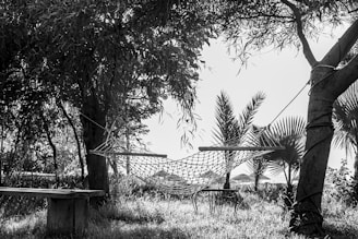 A relaxing outdoor scene with a hammock and side table.