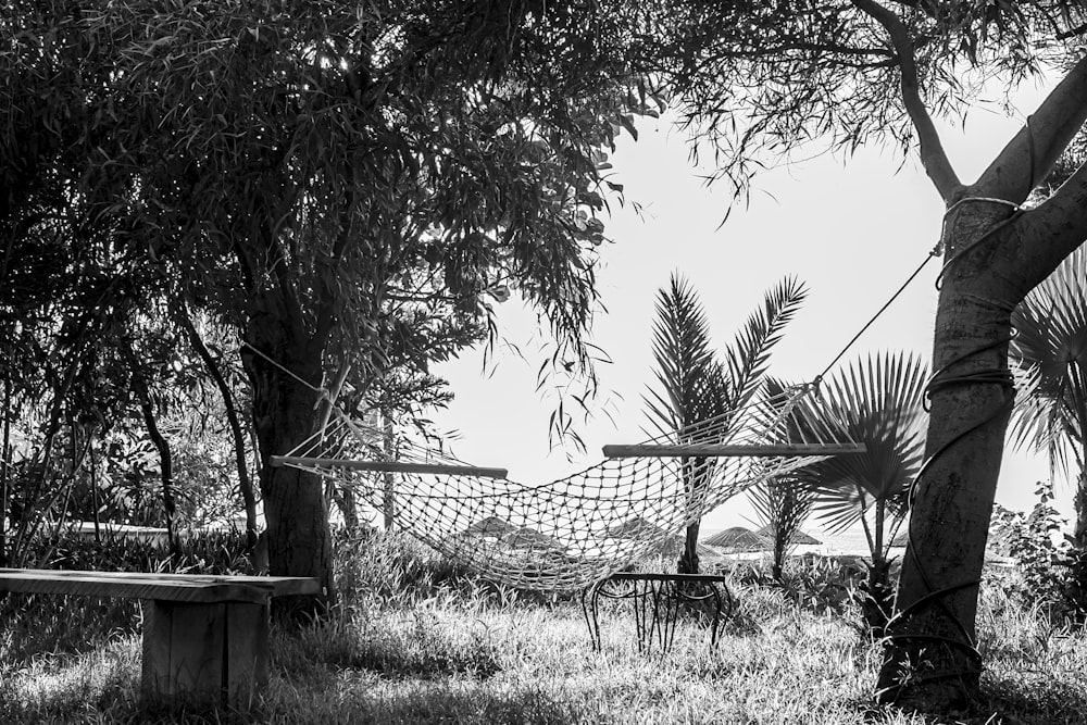 grayscale photography of hammock