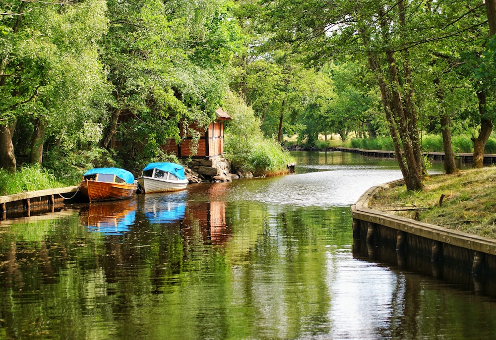 canoes beside dock