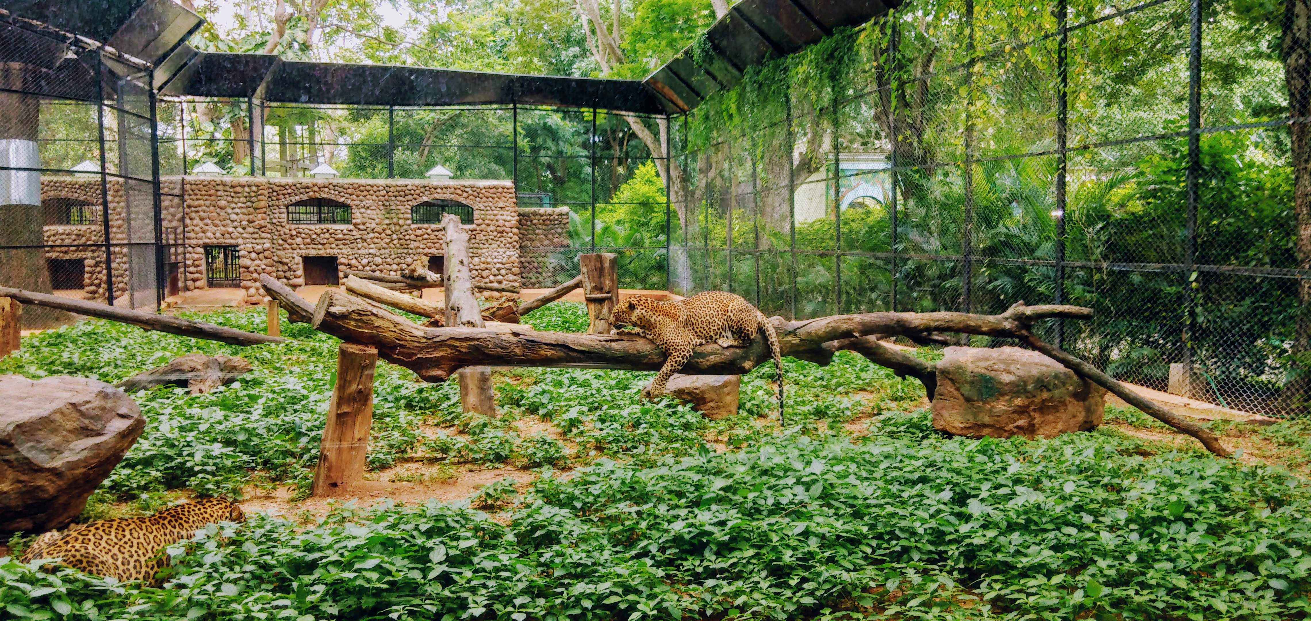 The Thrissur Zoo