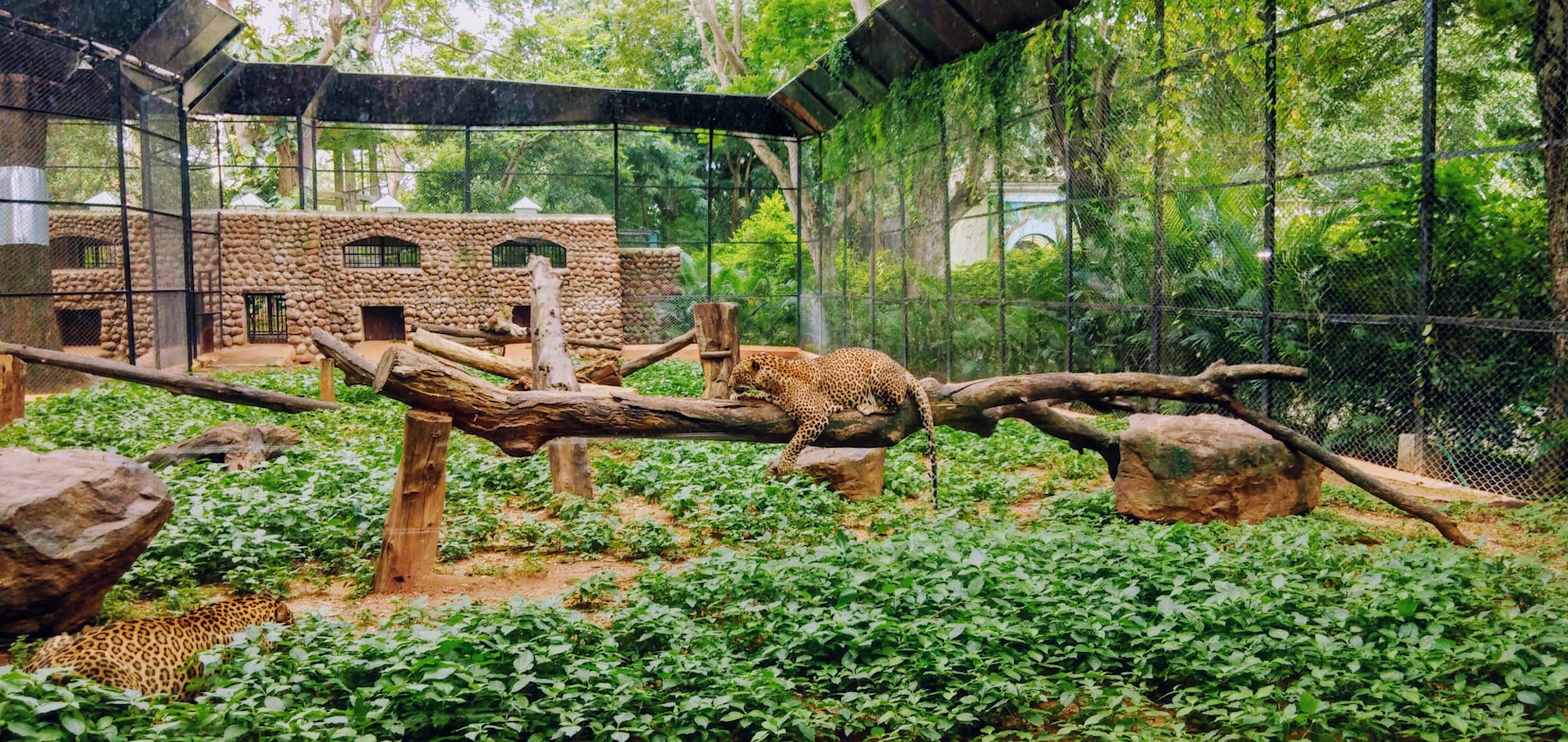 The Thrissur Zoo