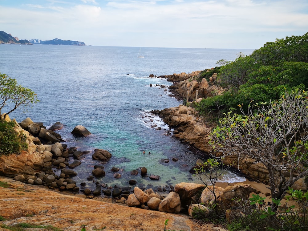 rock cliff with trees surrounded by the sea