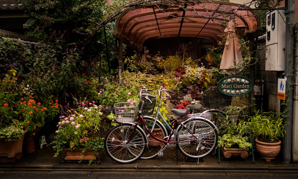 two bikes parked in garden