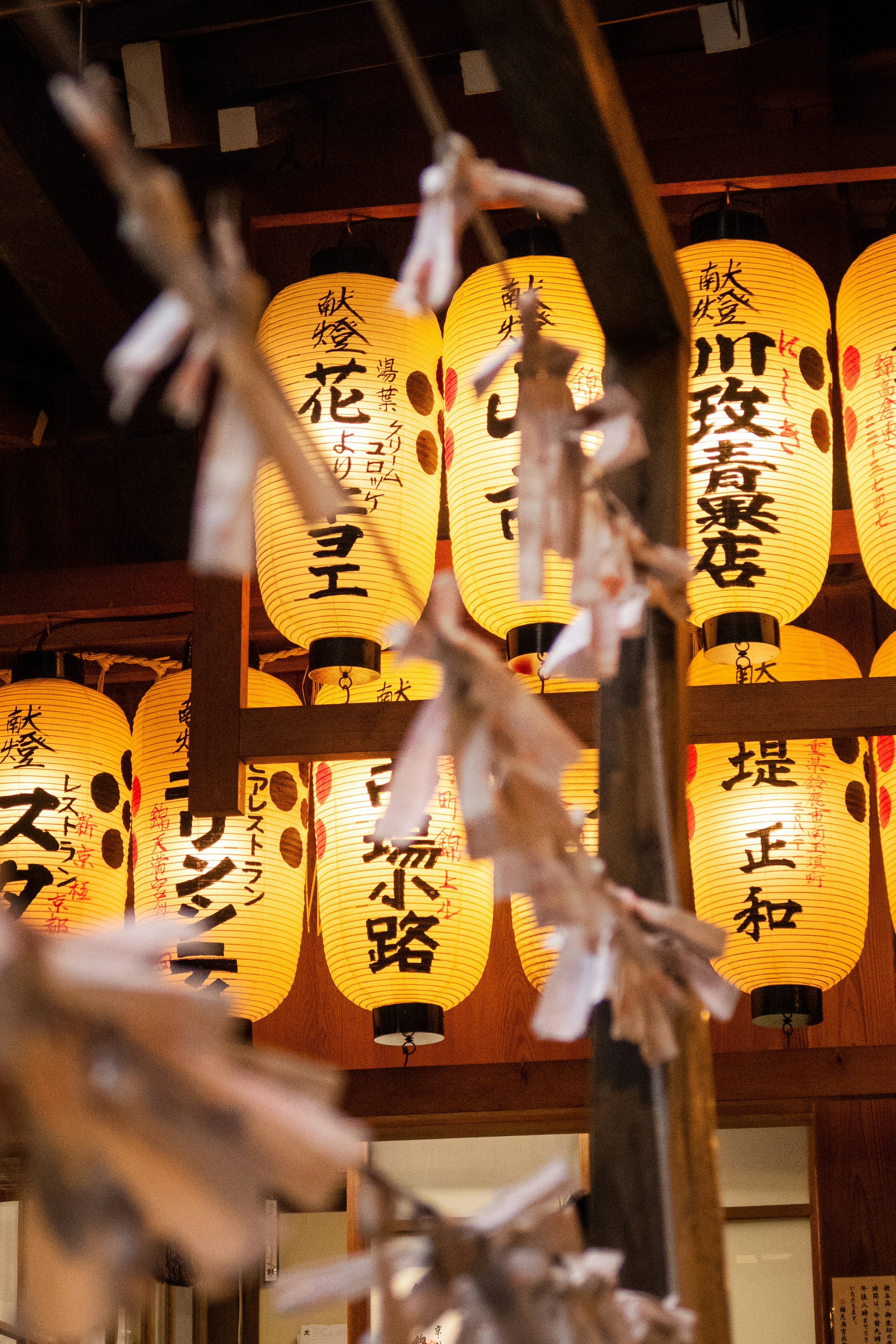 Photo by bananablackcat