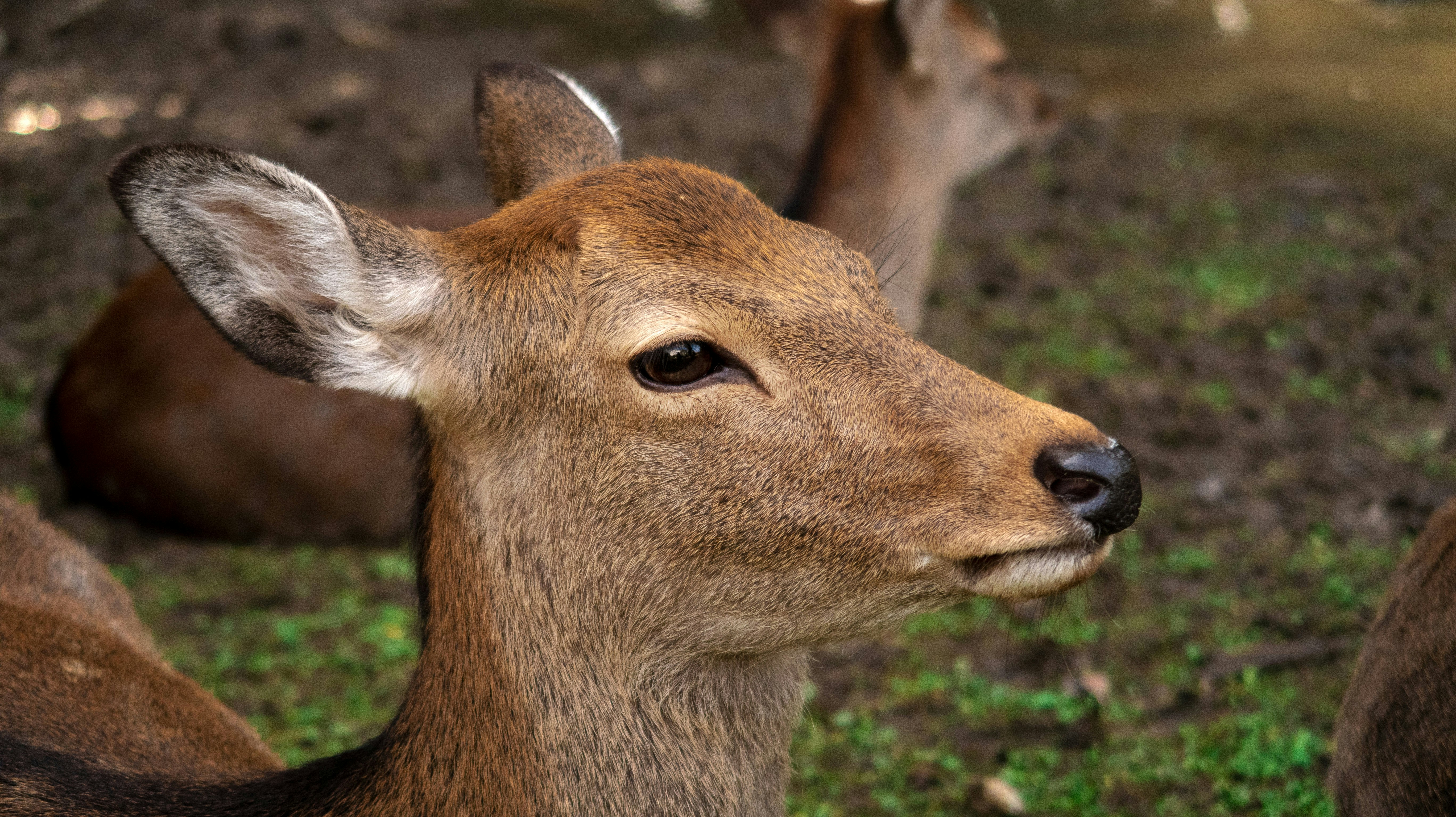 Photo by bananablackcat