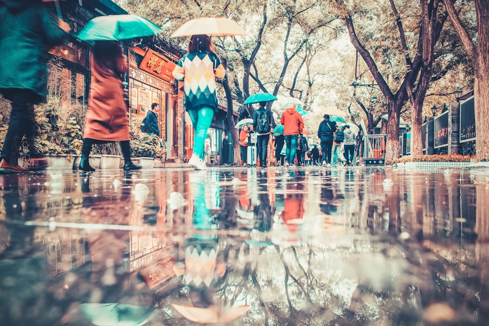 people walking under umbrellas in park