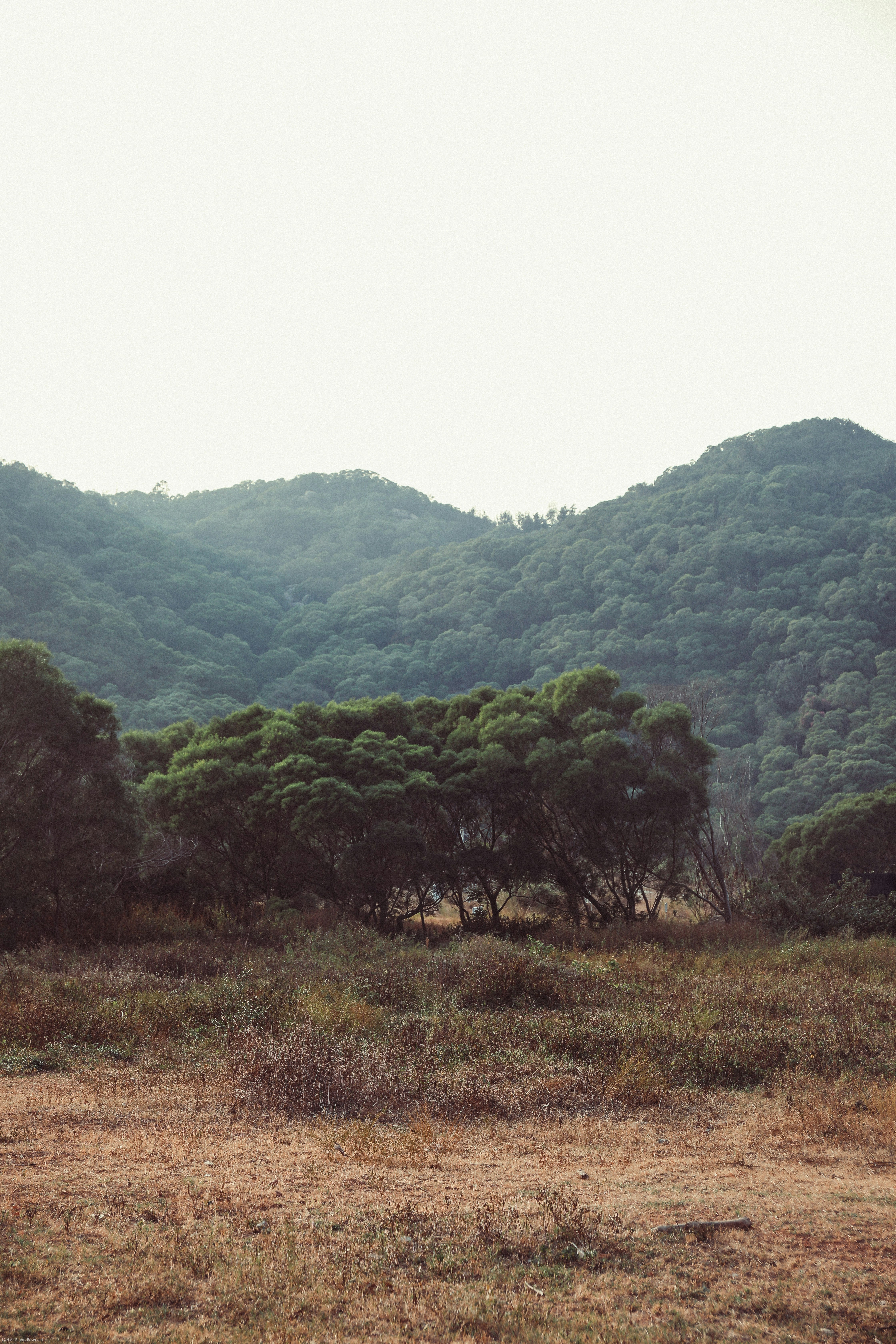 Photo by humditty