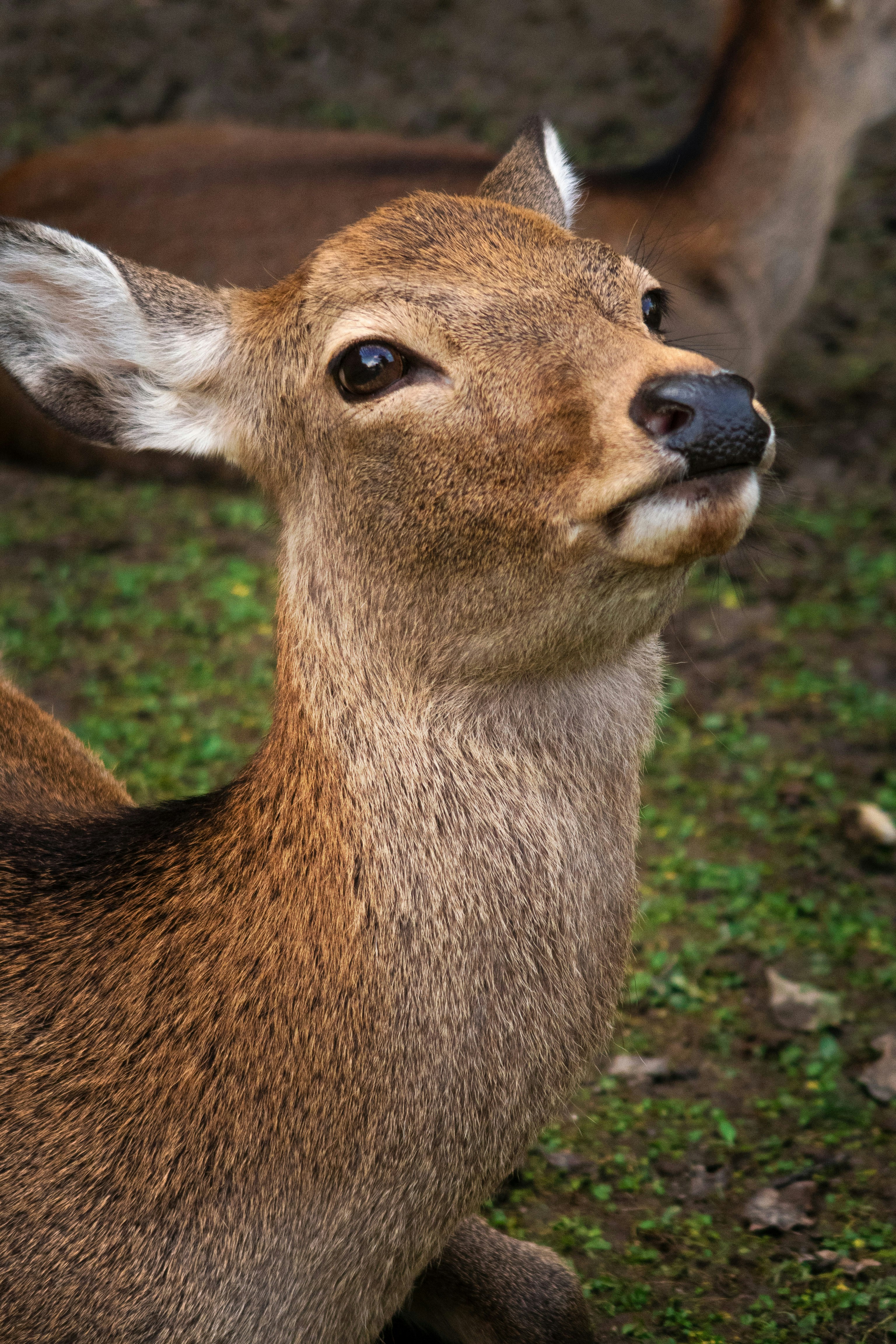 Photo by bananablackcat