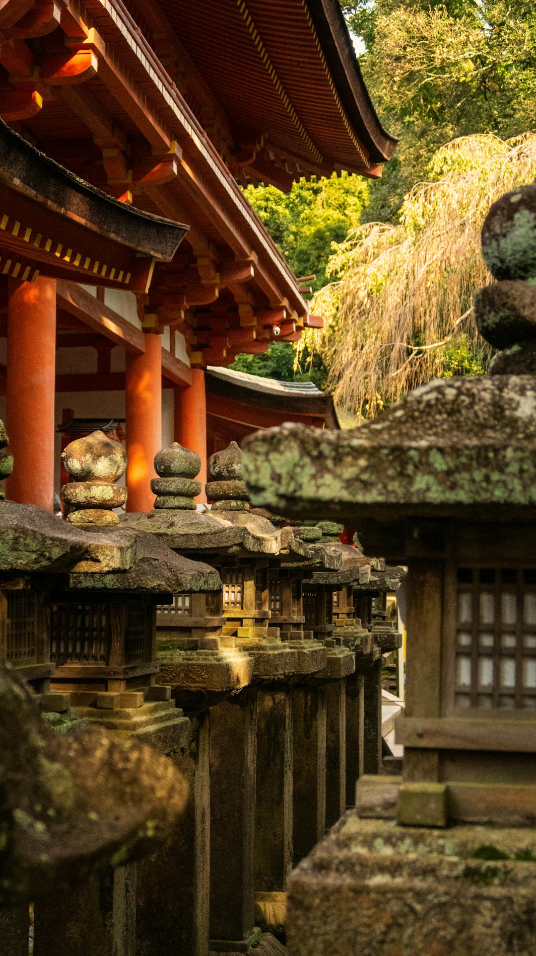 Temple photo spot Nara Kongobuji