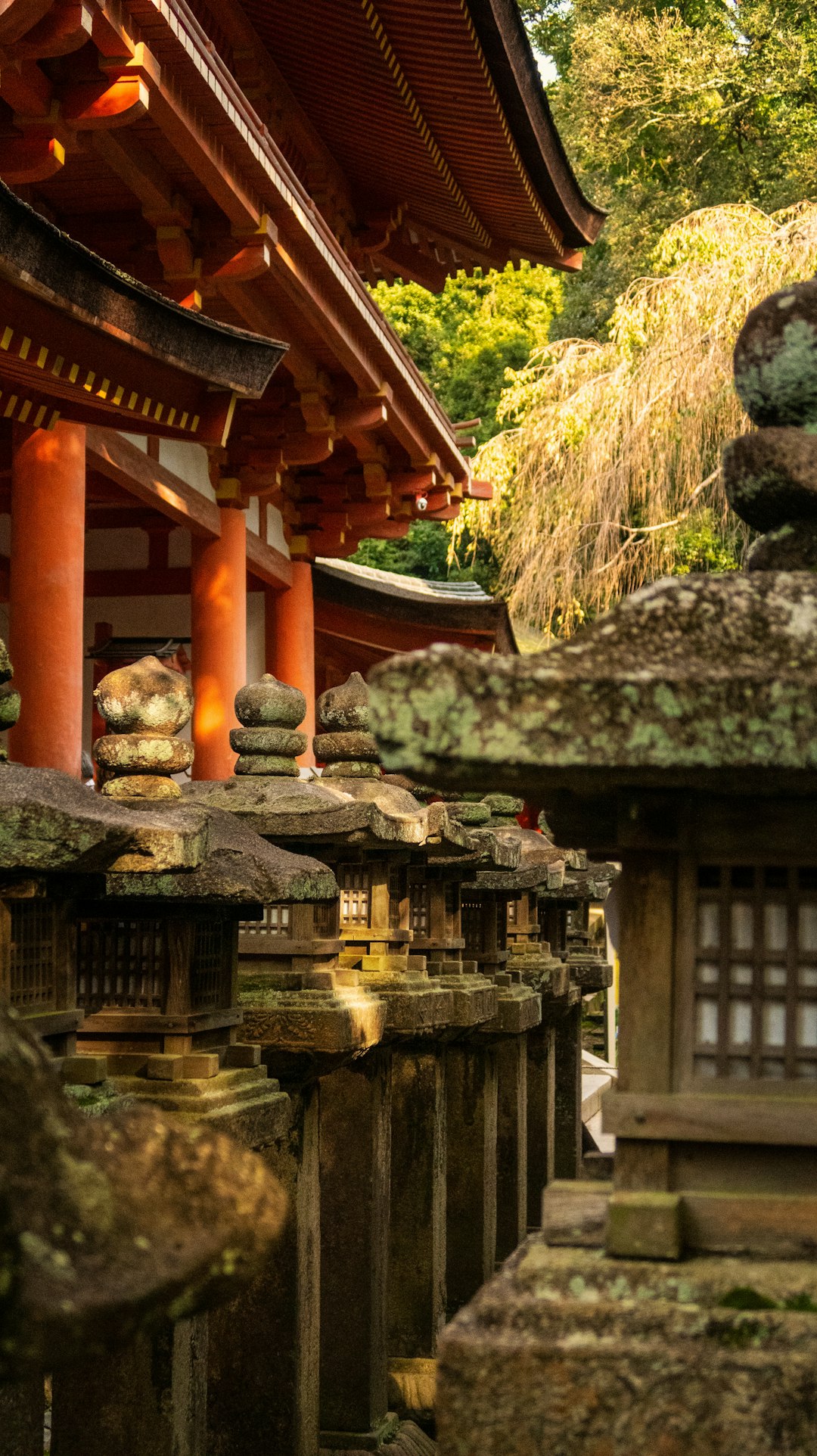 Temple photo spot Nara Nandaimon Gate of Tōdaiji