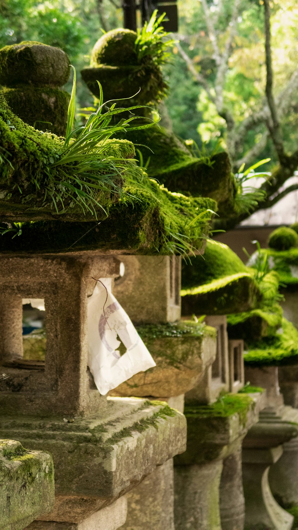 green moss on concrete statues