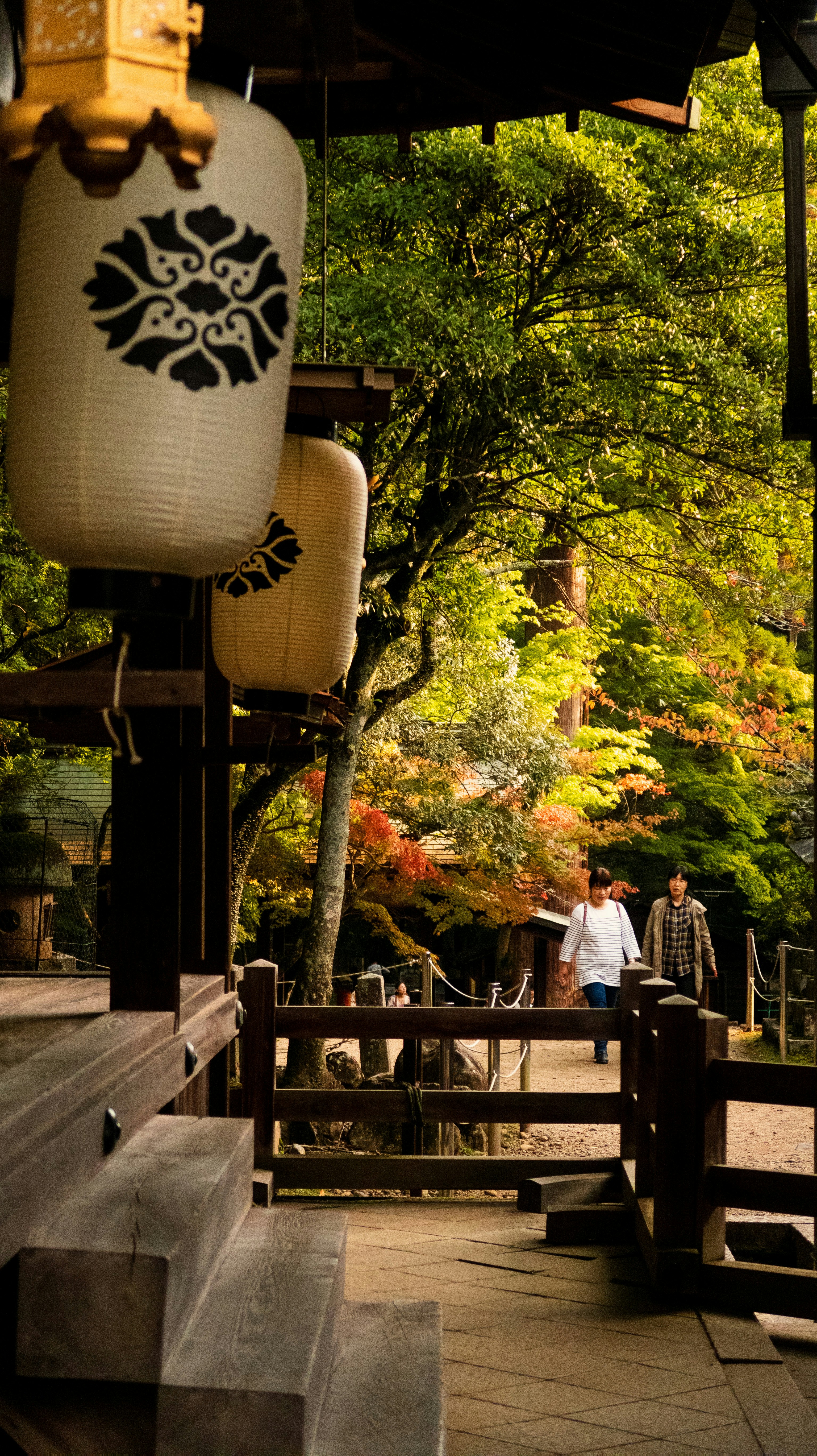 Unique coffee experience in Japanese forest