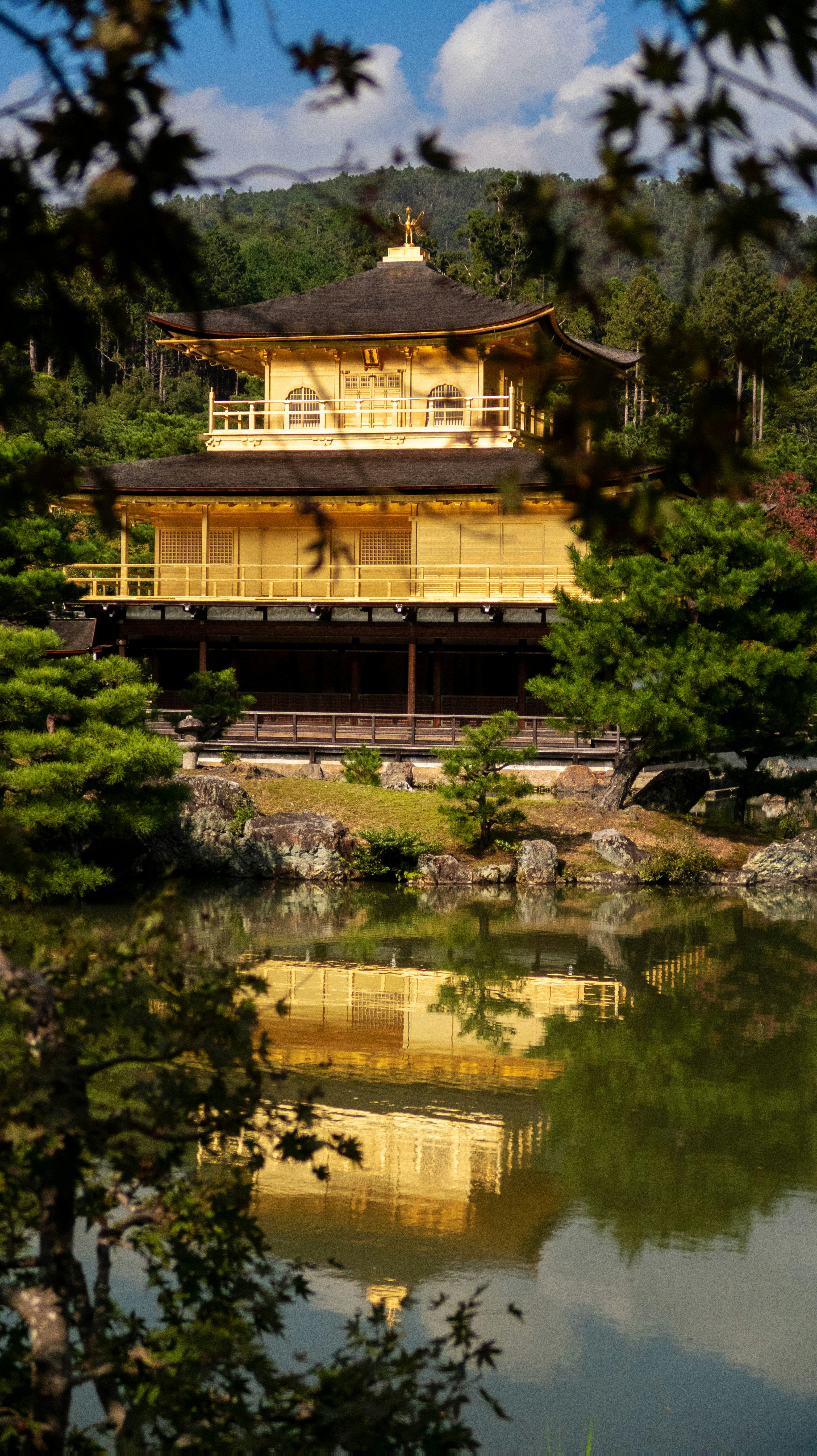 Photo by bananablackcat