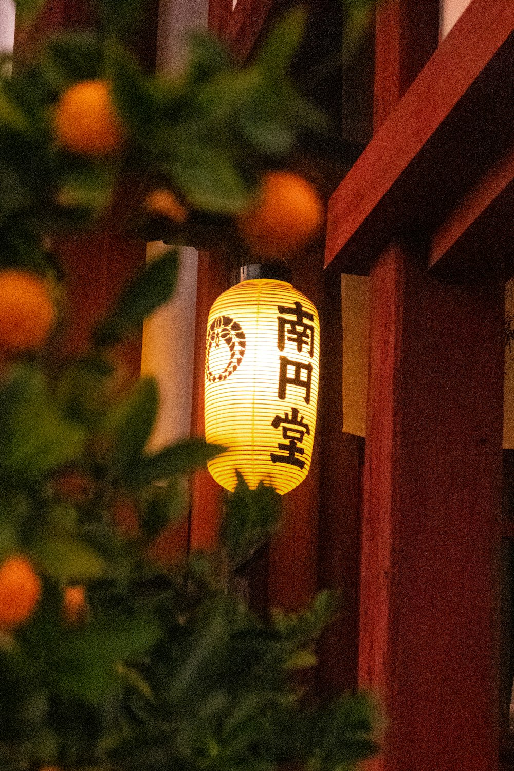 turned-on black and brown Chinese lantern