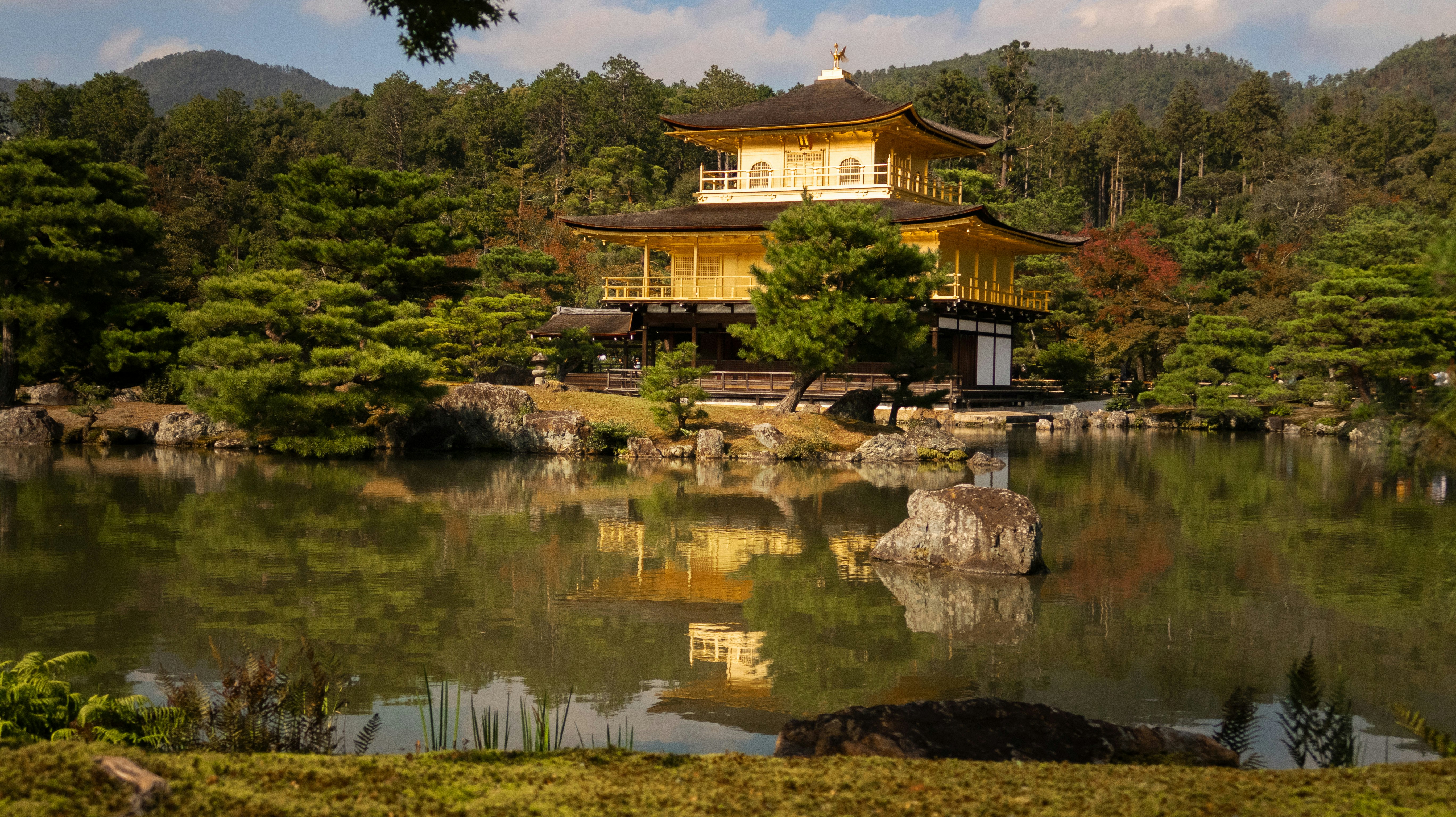 Photo by bananablackcat